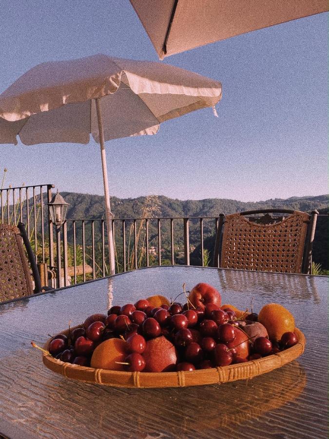 La Pianella Farmhouse Lucca Buitenkant foto